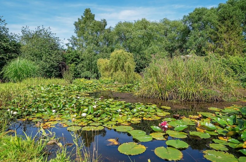 Images for Manor Road, Stutton